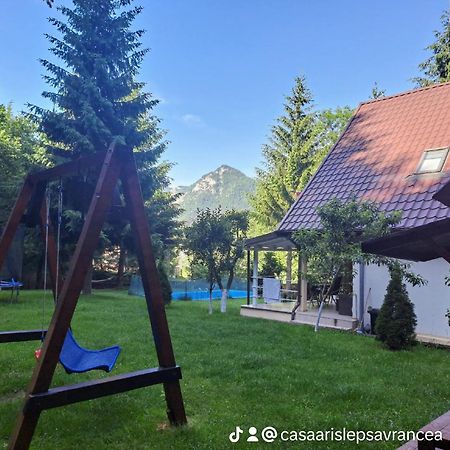 Casa Aris Lepsa Vrancea Hotel Buitenkant foto