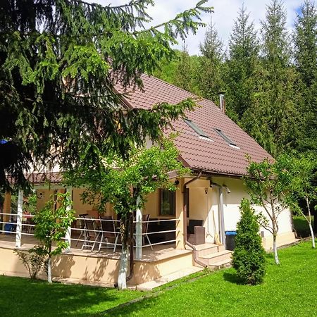 Casa Aris Lepsa Vrancea Hotel Buitenkant foto