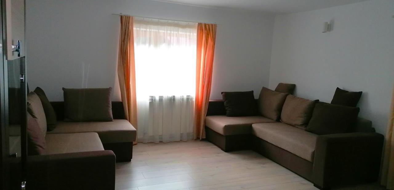 Casa Aris Lepsa Vrancea Hotel Buitenkant foto