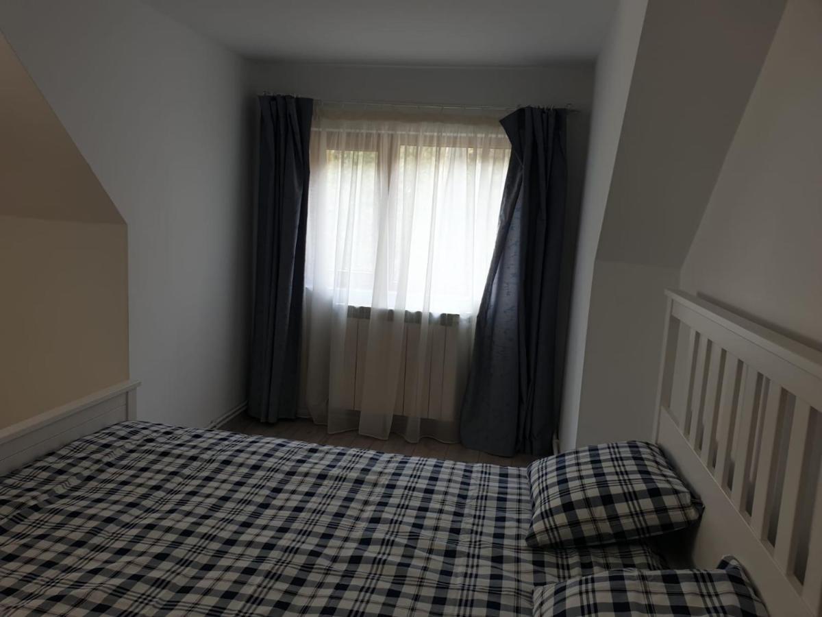 Casa Aris Lepsa Vrancea Hotel Buitenkant foto
