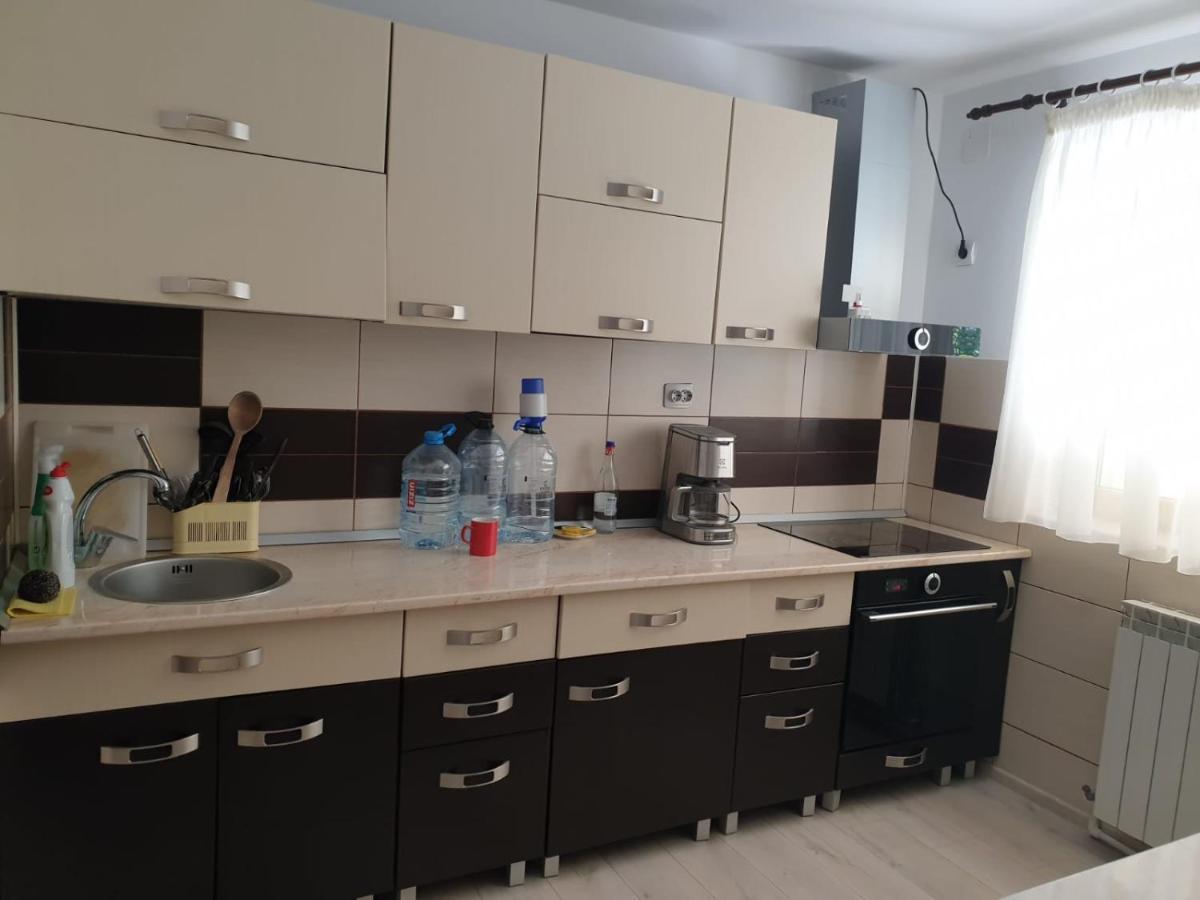 Casa Aris Lepsa Vrancea Hotel Buitenkant foto