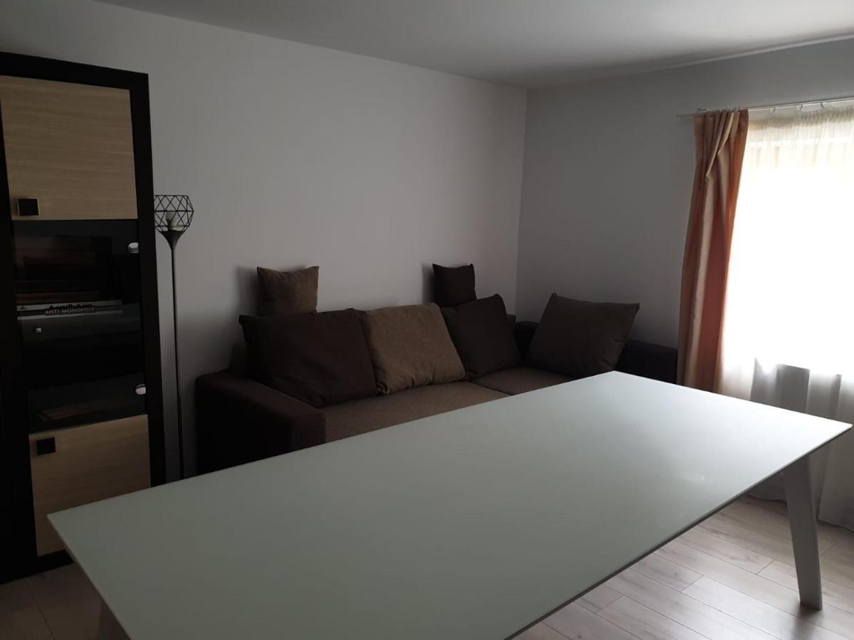 Casa Aris Lepsa Vrancea Hotel Buitenkant foto