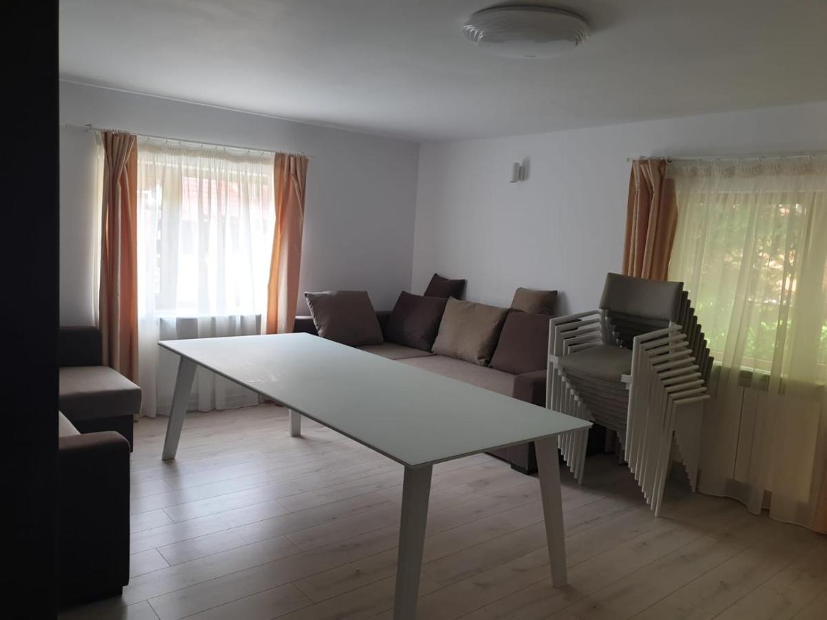 Casa Aris Lepsa Vrancea Hotel Buitenkant foto