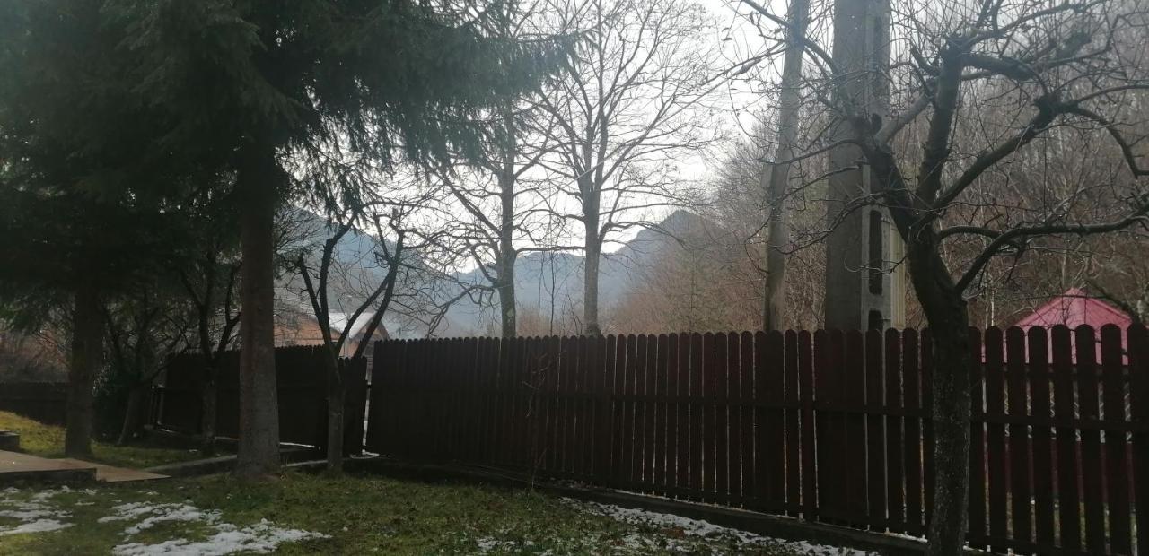 Casa Aris Lepsa Vrancea Hotel Buitenkant foto