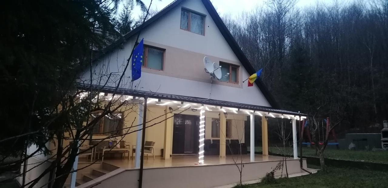 Casa Aris Lepsa Vrancea Hotel Buitenkant foto