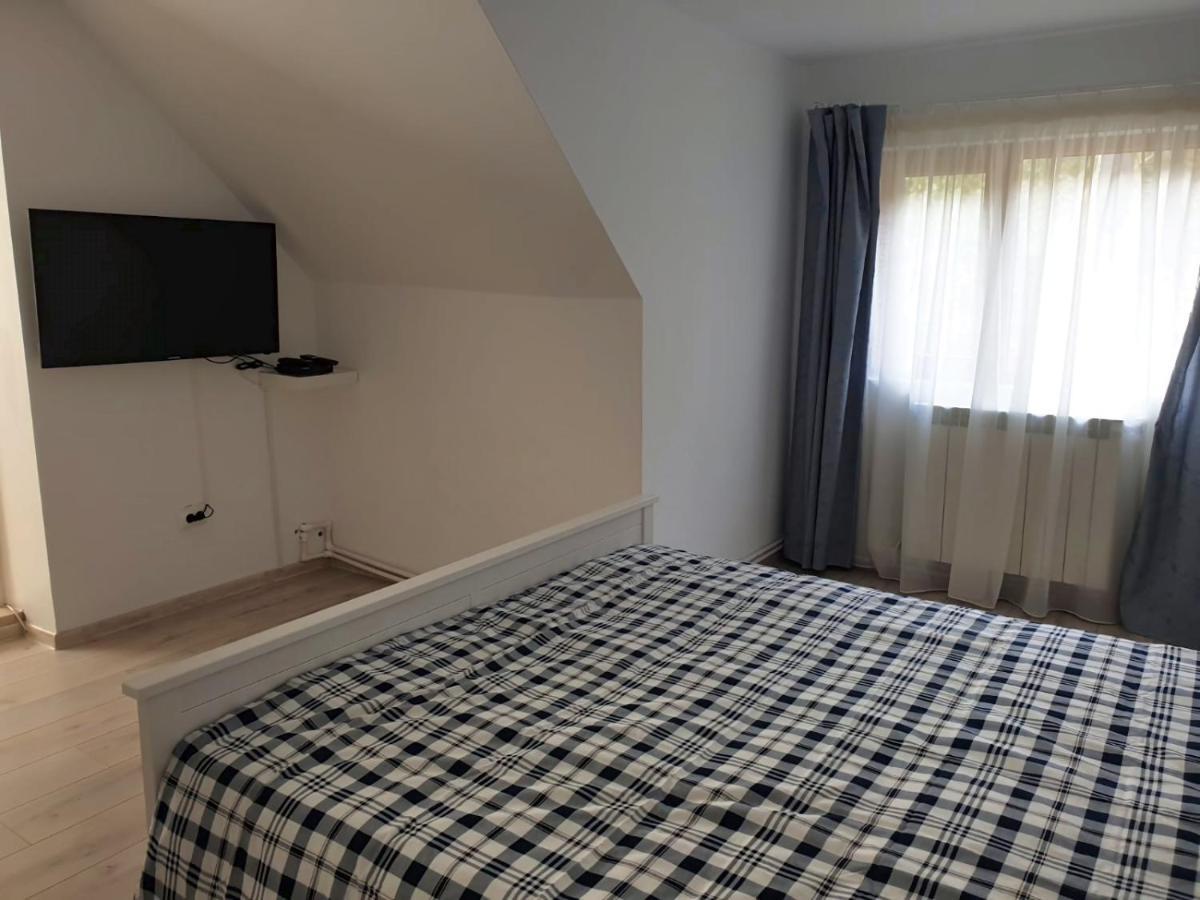 Casa Aris Lepsa Vrancea Hotel Buitenkant foto