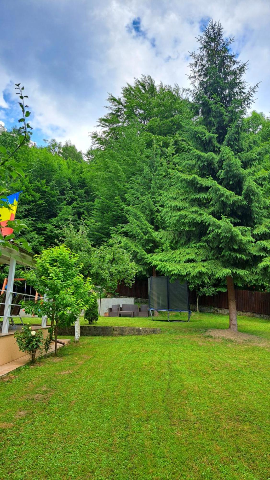 Casa Aris Lepsa Vrancea Hotel Buitenkant foto