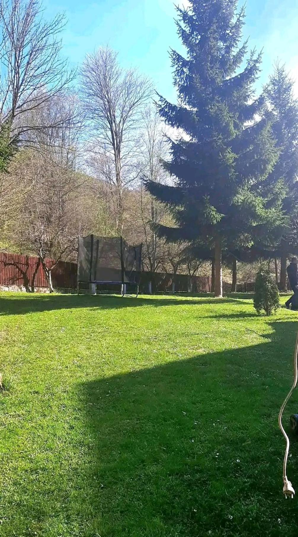 Casa Aris Lepsa Vrancea Hotel Buitenkant foto