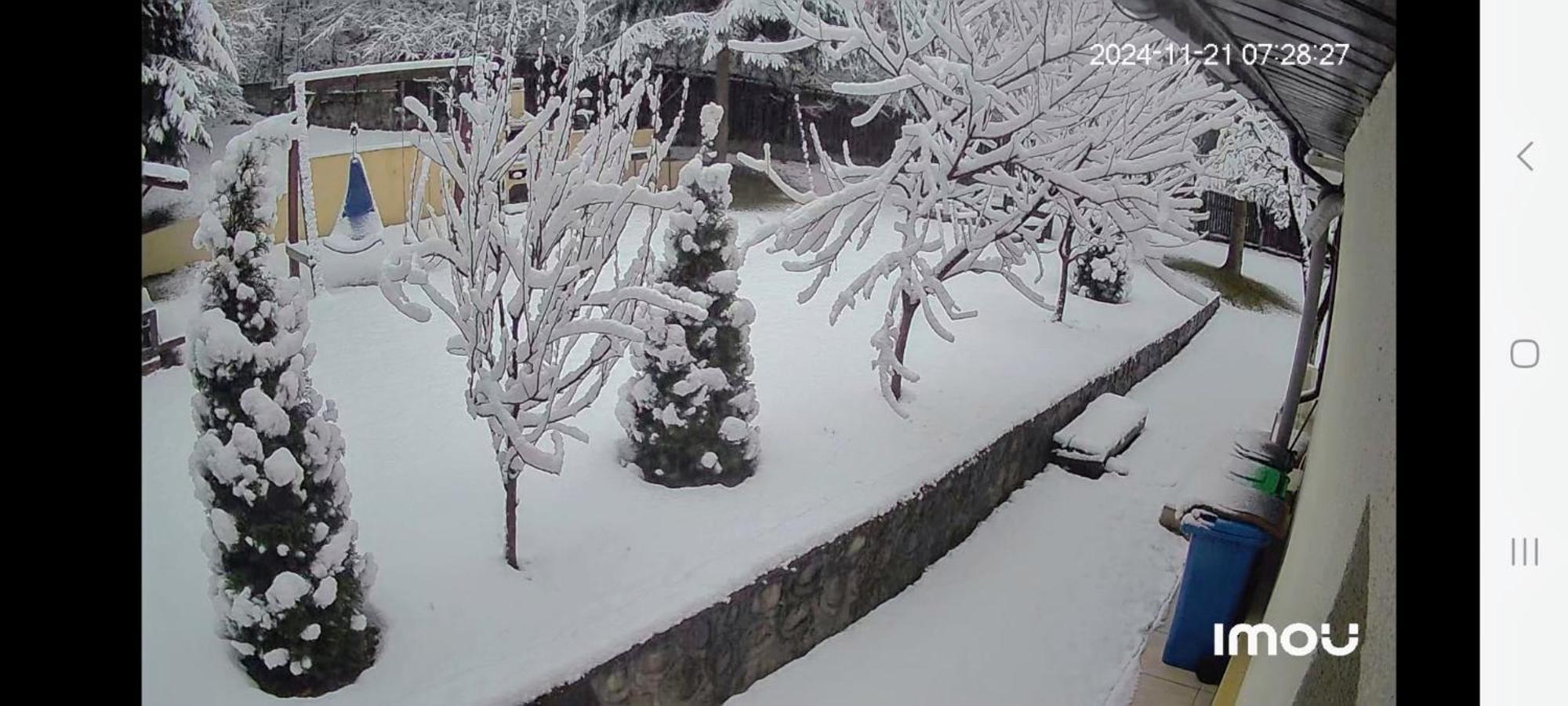 Casa Aris Lepsa Vrancea Hotel Buitenkant foto