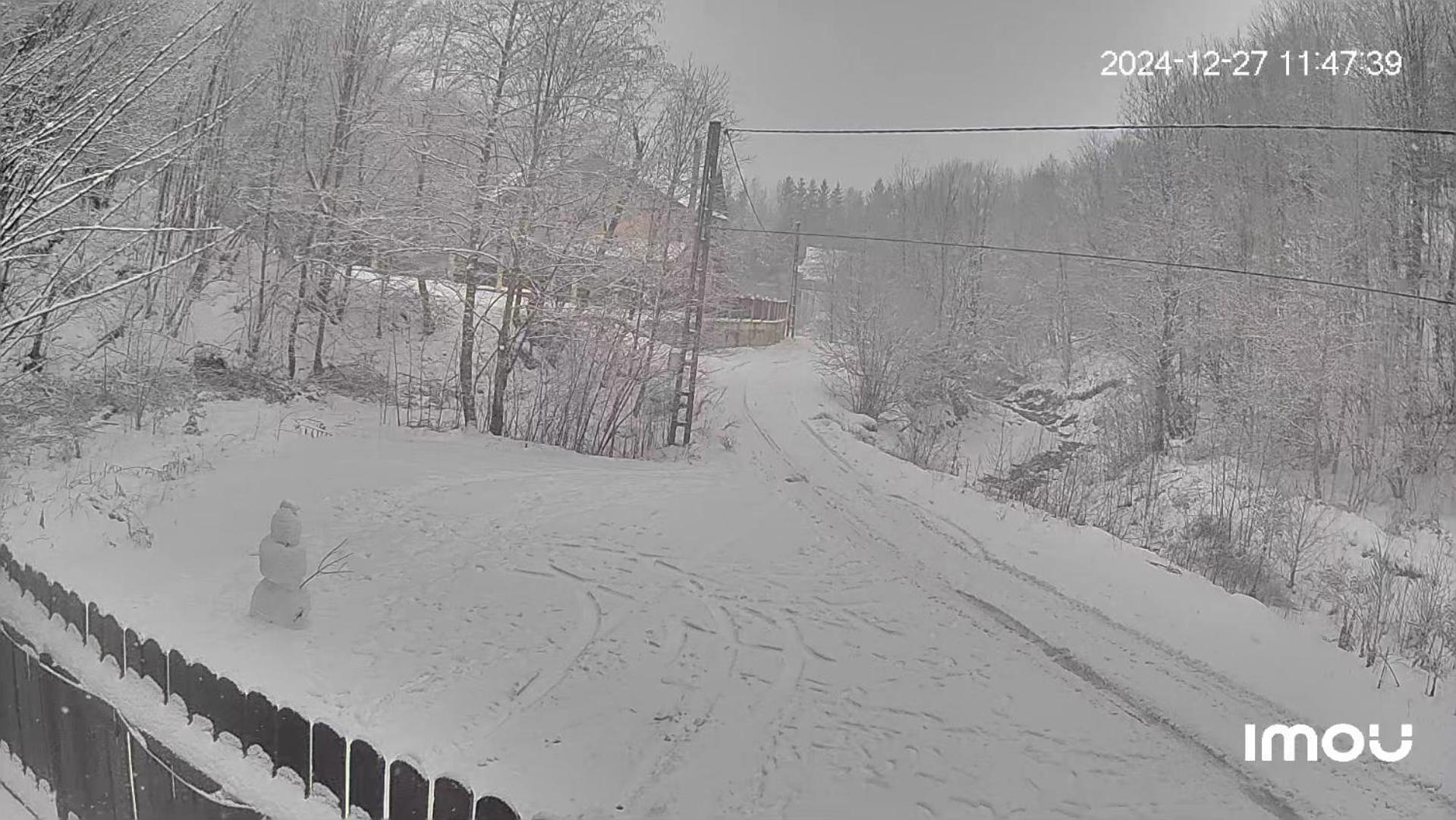 Casa Aris Lepsa Vrancea Hotel Buitenkant foto