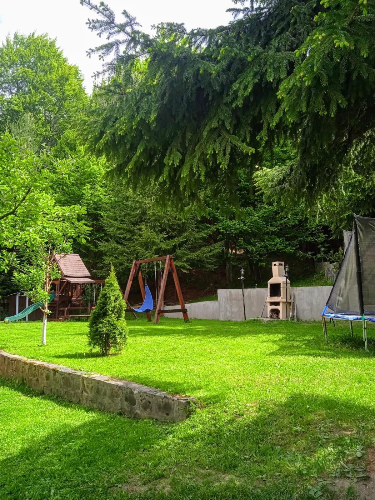 Casa Aris Lepsa Vrancea Hotel Buitenkant foto