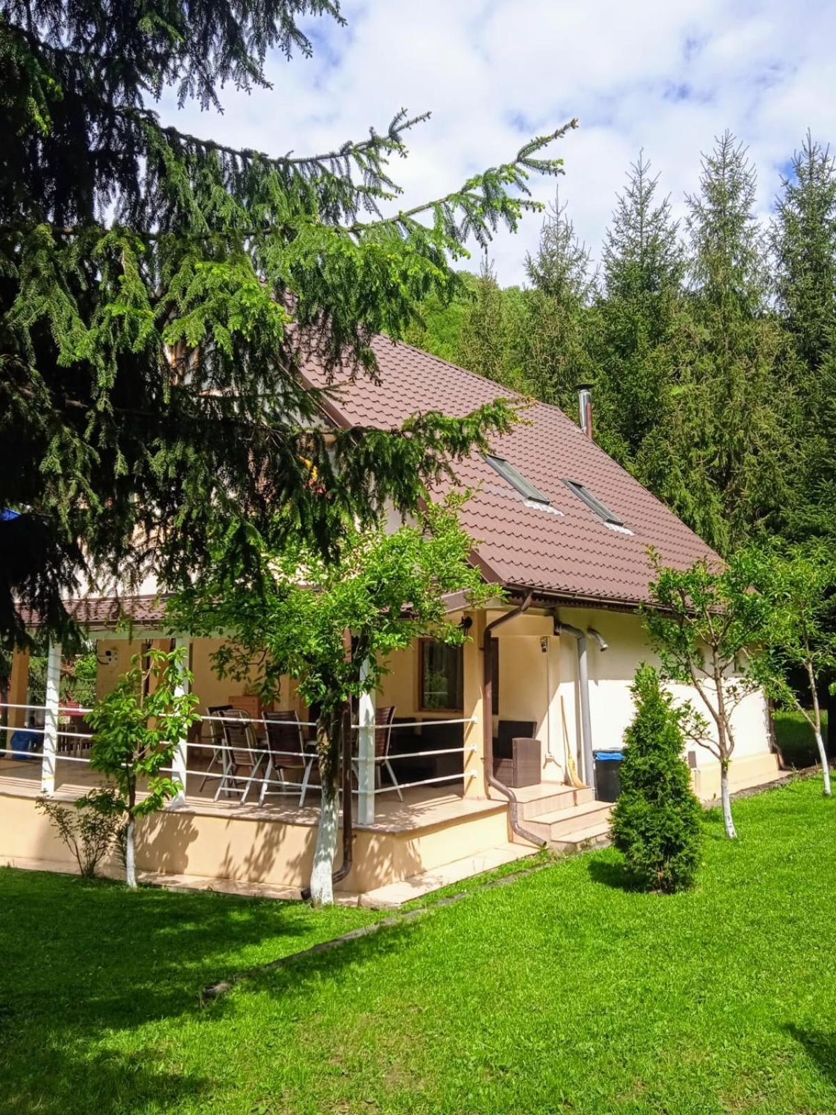 Casa Aris Lepsa Vrancea Hotel Buitenkant foto