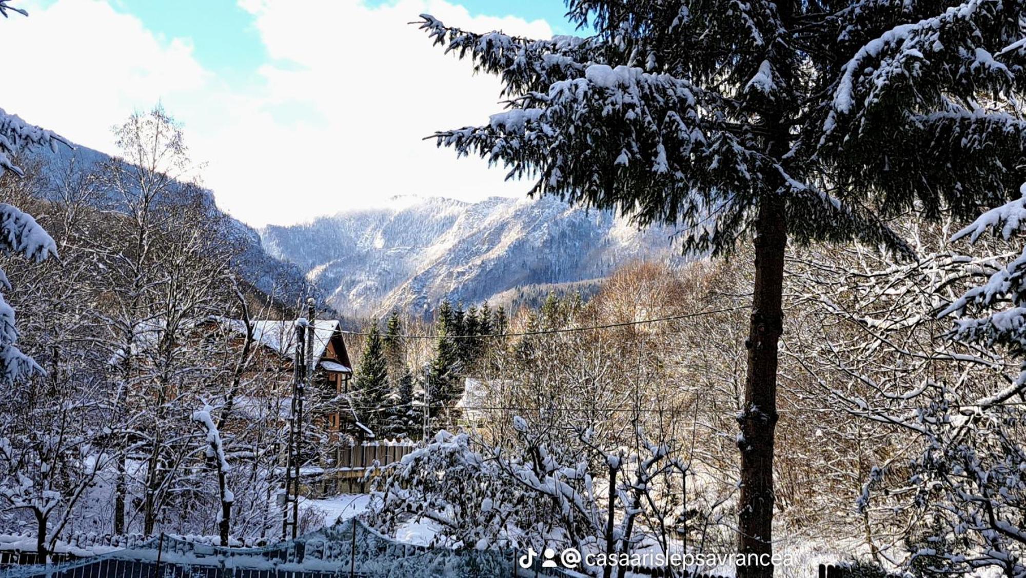 Casa Aris Lepsa Vrancea Hotel Buitenkant foto